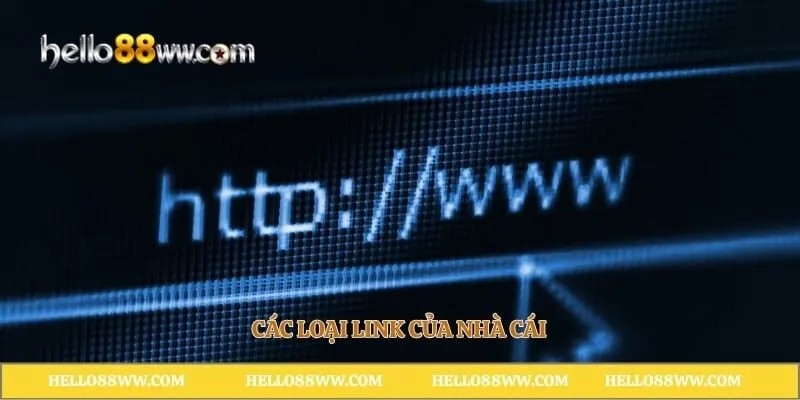 Các loại link của nhà cái