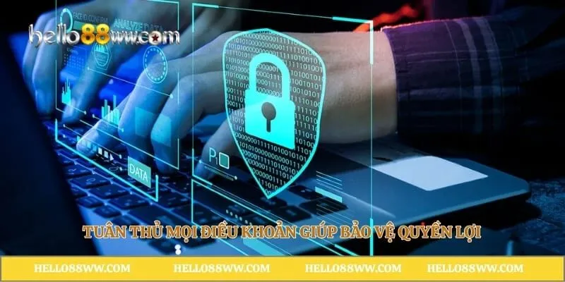 Tuân thủ mọi điều khoản giúp bảo vệ quyền lợi
